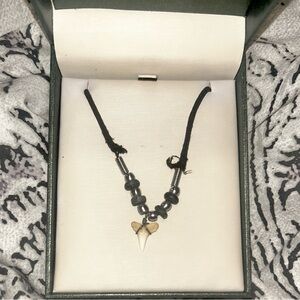 Shark Tooth Necklace Choker